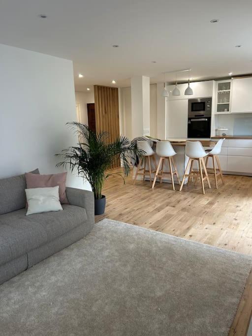 Stunning Close To Versailles Apartment